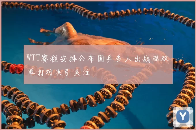 WTT赛程安排公布国乒多人出战混双单打对决引关注